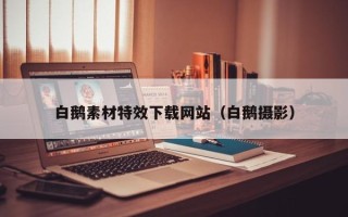 永城白鹅素材特效下载网站（白鹅摄影）